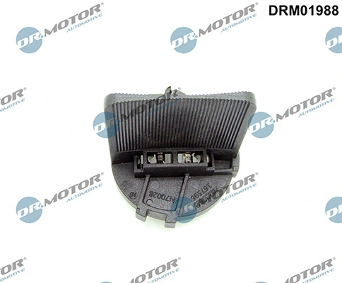 DRM01988 Lizarte