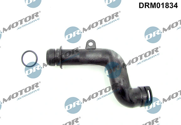 DRM01834 Lizarte