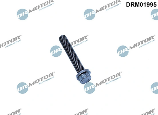 DRM01995 Lizarte