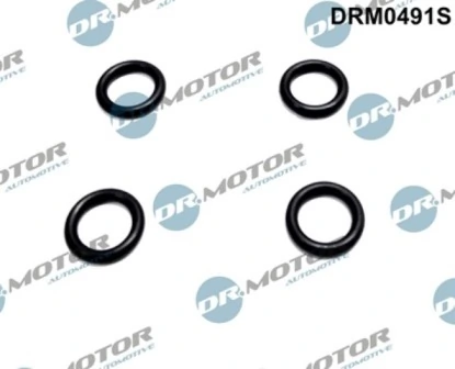 DRM0491S Lizarte