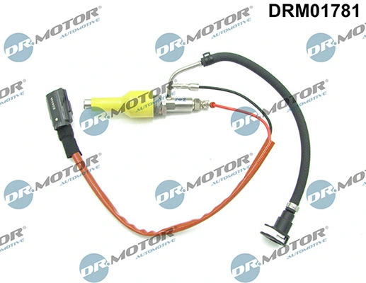 DRM01781 Lizarte