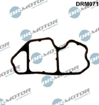 DRM071 Lizarte