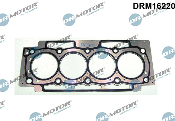 DRM16220 Lizarte