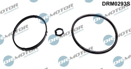 DRM0293S Lizarte