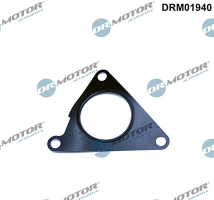 DRM01940 Lizarte