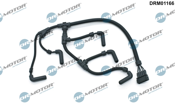 DRM01166 Lizarte