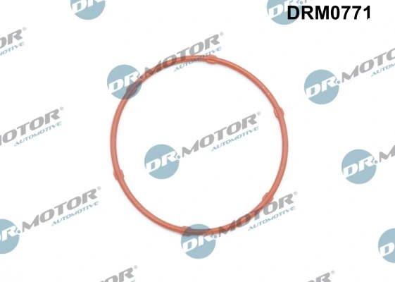 DRM0771 Lizarte