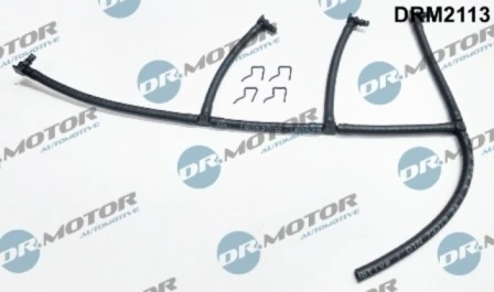 DRM2113 Lizarte