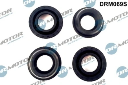 DRM069S Lizarte