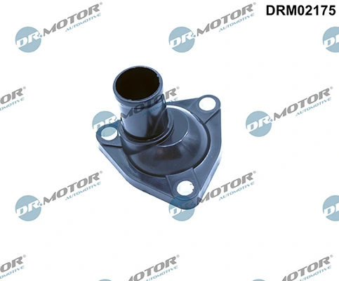 DRM02175 Lizarte