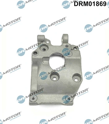 DRM01869 Lizarte