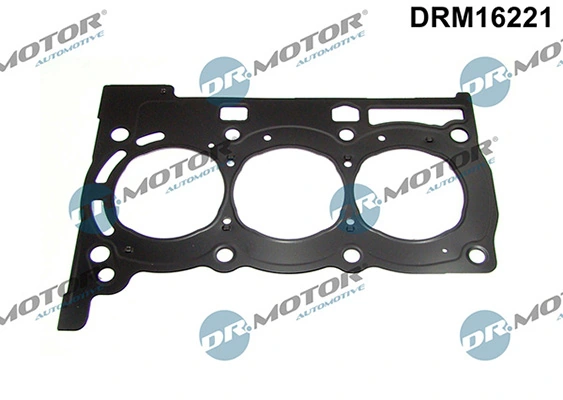 DRM16221 Lizarte