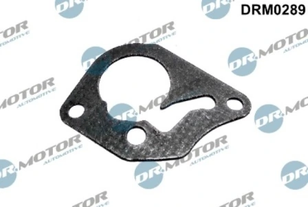 DRM0289 Lizarte