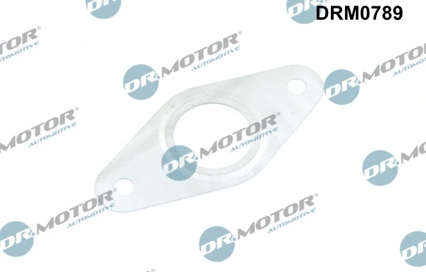 DRM0789 Lizarte