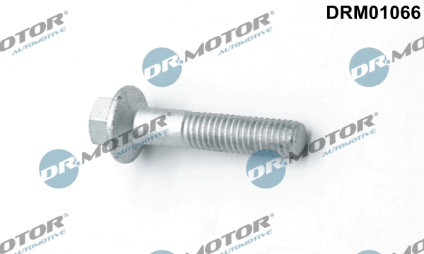 DRM01066 Lizarte