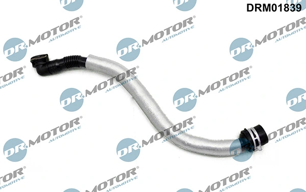DRM01839 Lizarte