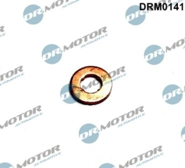 DRM0141 Lizarte