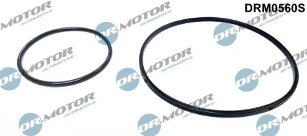 DRM0560S Lizarte