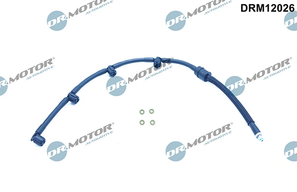 DRM12026 Lizarte