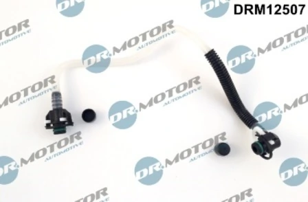 DRM12507 Lizarte