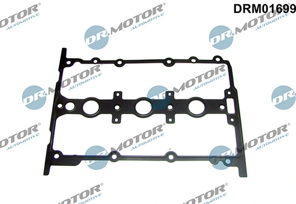 DRM01699 Lizarte