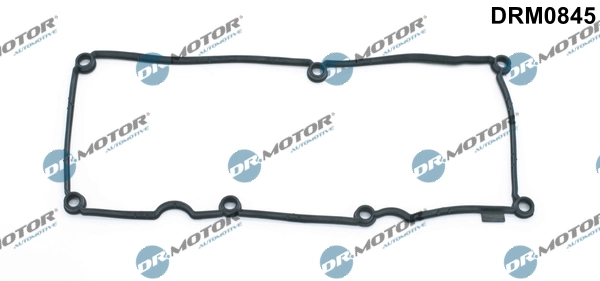 DRM0845 Lizarte