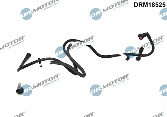 DRM18525 Lizarte