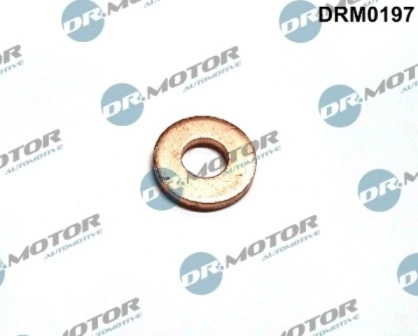 DRM0197 Lizarte