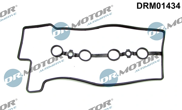 DRM01434 Lizarte