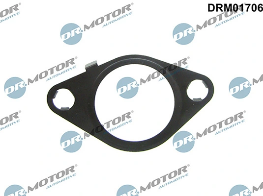 DRM01706 Lizarte