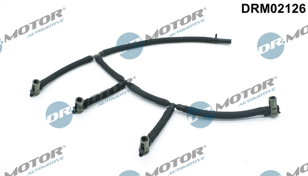 DRM02126 Lizarte
