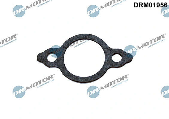 DRM01956 Lizarte