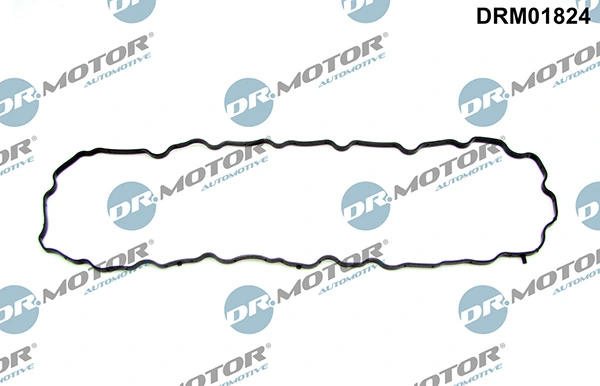 DRM01824 Lizarte