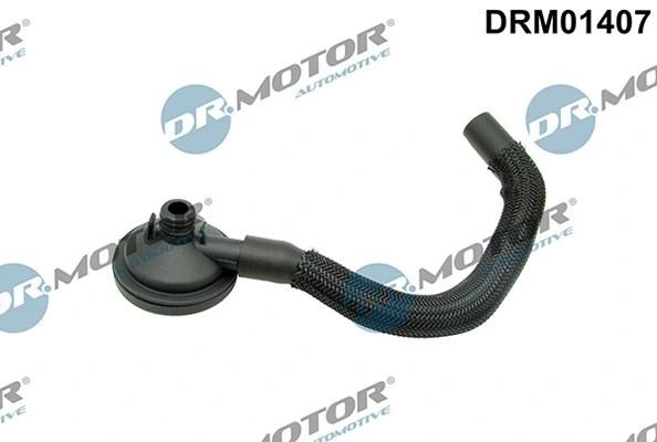 DRM01407 Lizarte