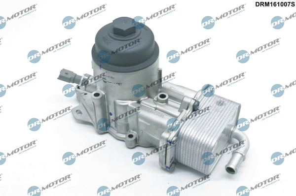 DRM161007S Lizarte