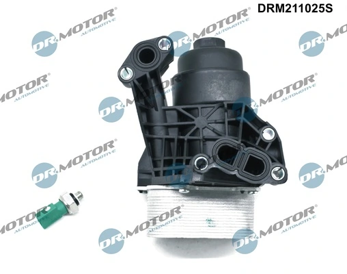 DRM211025S Lizarte