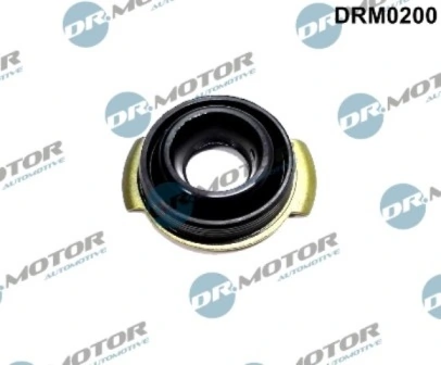 DRM0200 Lizarte