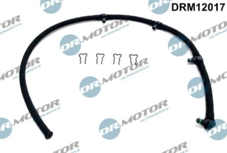 DRM12017 Lizarte