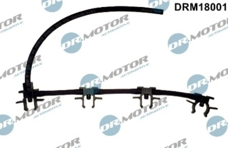DRM18001 Lizarte