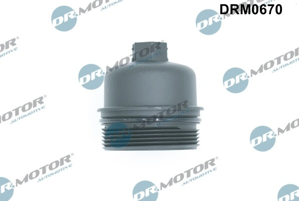 DRM0670 Lizarte