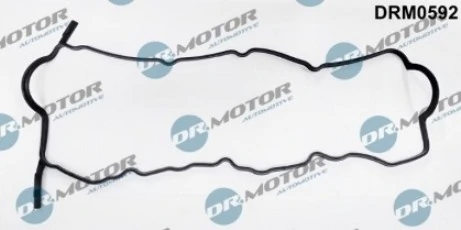 DRM0592 Lizarte