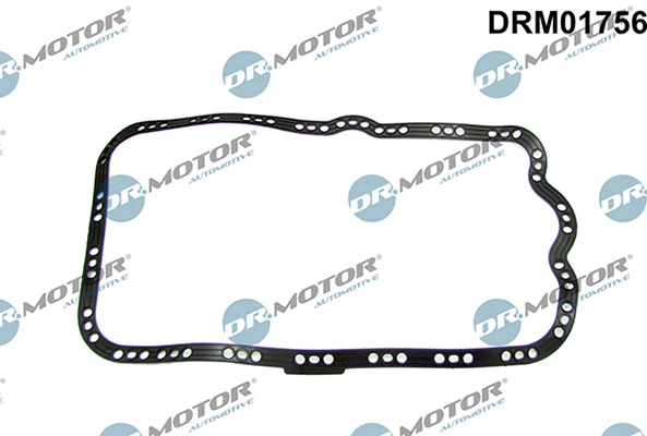 DRM01756 Lizarte