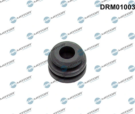 DRM01003 Lizarte