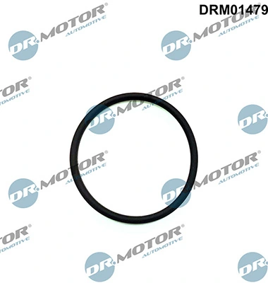 DRM01479 Lizarte