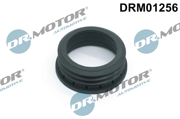 DRM01256 Lizarte