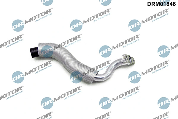 DRM01846 Lizarte