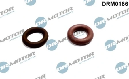 DRM0186 Lizarte