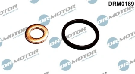 DRM0189 Lizarte