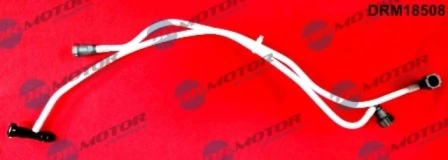 DRM18508 Lizarte