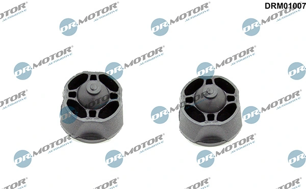 DRM01007 Lizarte